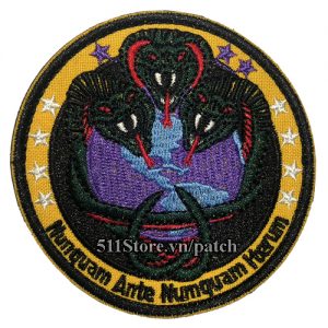 Patch Nunguam Ante